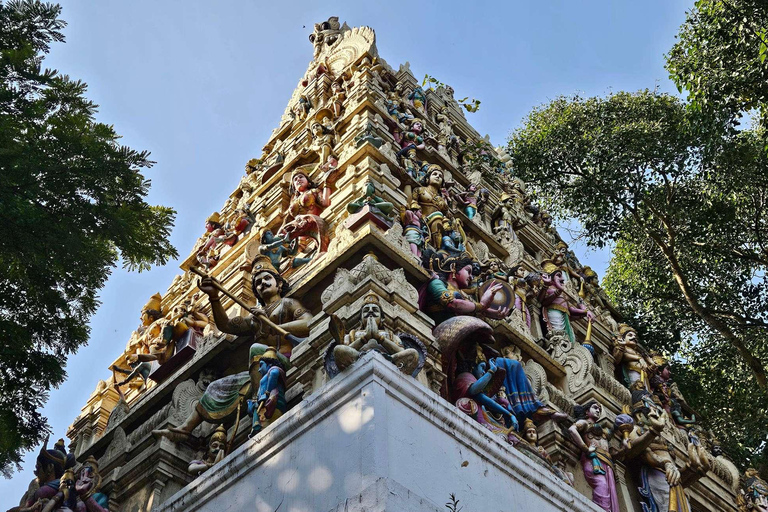 Bangalore: Full-Day Sightseeing Tours with Meal & AC vehicle Bangalore Private Heritage Walk + Home Cooking Class