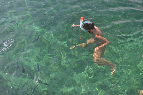 Da Santa GuiliaGrande Crociera SUD e escursione di SnorkelingDa Santa Guilia Crociera GRAND SUD e escursione di un giorno con snorkeling