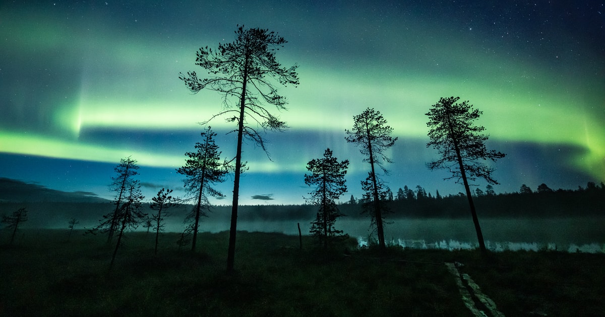 Rovaniemi: Herbstliche Nordlichterjagd Mit Dem Auto | GetYourGuide