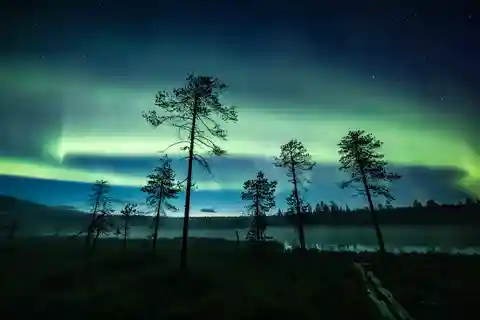 Rovaniemi: Efterårets nordlysjagt i bil