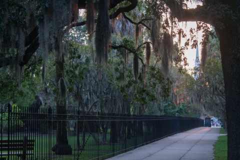 Savannah: visite guidée à pied du cimetière du parc colonial