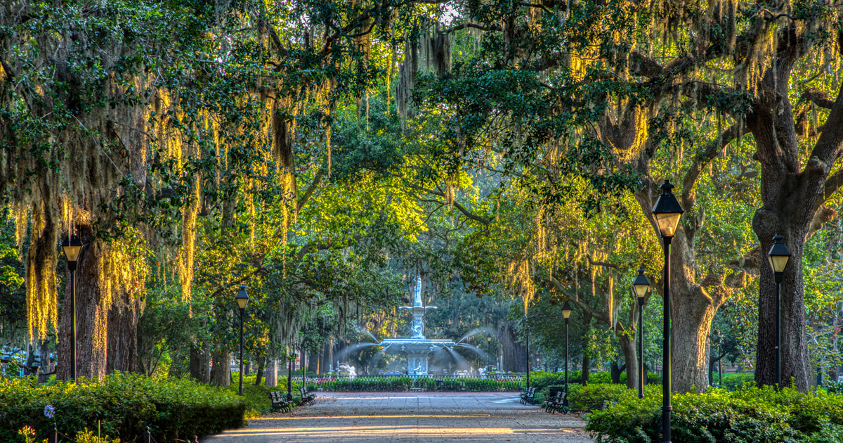 explore savannah history walking tour