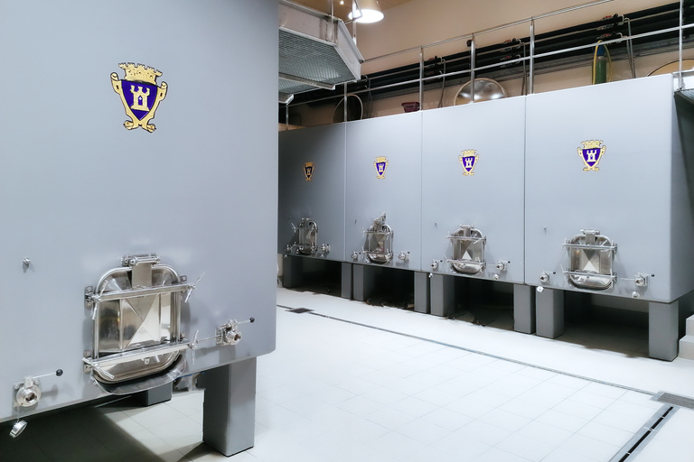 Saint-Émilion: tour dei vigneti di Bordeaux e degustazione di viniSaint-Émilion: tour dei vigneti di Bordeaux e degustazione in inglese