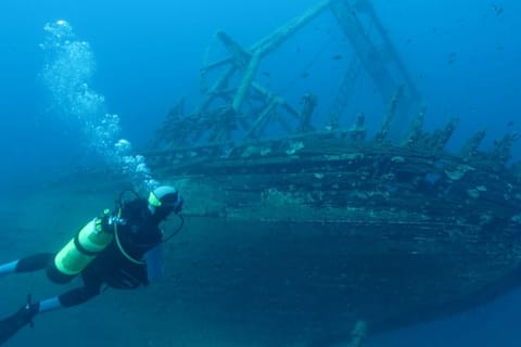 From Split: Island Diving & Blue Cave Tour with Lunch