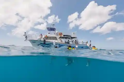Oahu: Turtle Canyon Snorkeling & Hula Dance