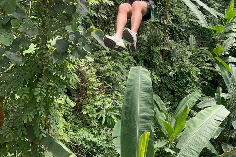 Chiang Mai: viagem de 1 dia com aventura na cascata Sticky e tirolesaChiang Mai: Viagem de 1 dia com aventura na cascata Sticky e tirolesa