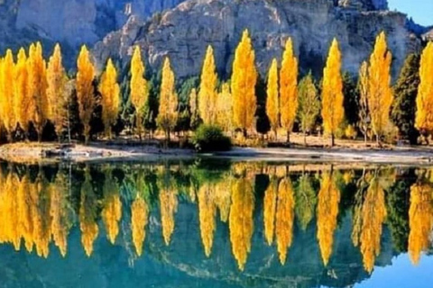 Bariloche: 7 Lakes & San Martin de Los Andes Road Trip Tour in Spanish