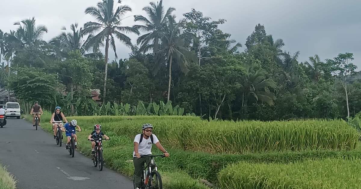 Bali Natural Downhill Cycling Tour Und Besuch Des Vulkans Batur