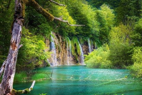 De Split: excursion guidée d'une journée au parc national des lacs de Plitvice