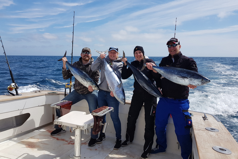 C'an Picafort : pêche et excursion en bateau