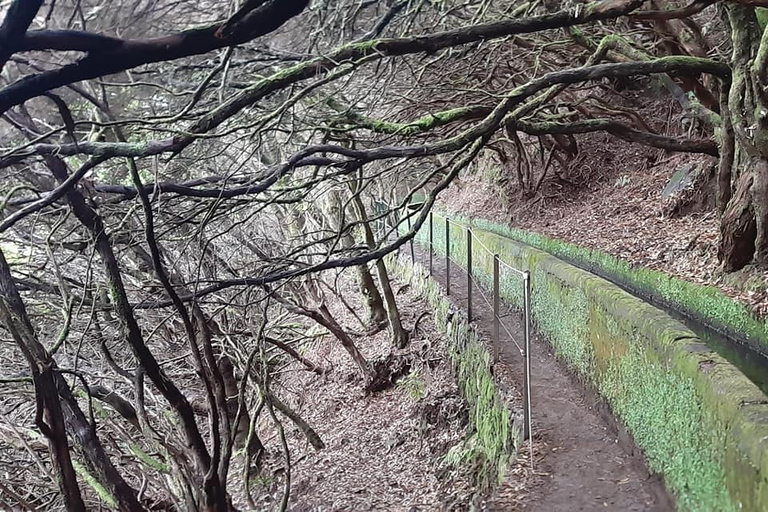 Autoguiado Levada 25 Fontes & Risco en RabaçalDesde Funchal: traslado al parque Rabacal y senderismo autoguiado