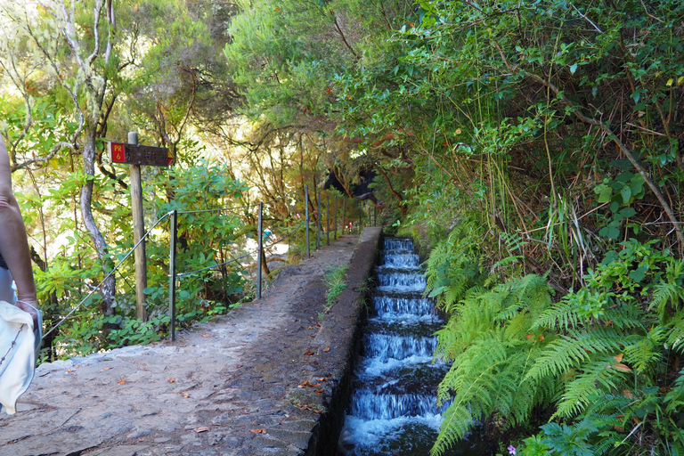 Autoguiado Levada 25 Fontes & Risco en RabaçalDesde Funchal: traslado al parque Rabacal y senderismo autoguiado