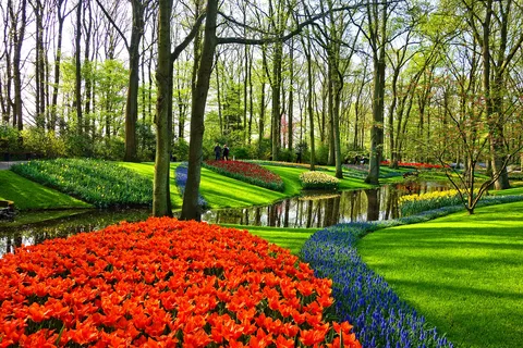Fra Amsterdam: Keukenhof Gardens og Giethoorn Tour