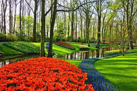 Desde Ámsterdam: recorrido por los jardines de Keukenhof y Giethoorn