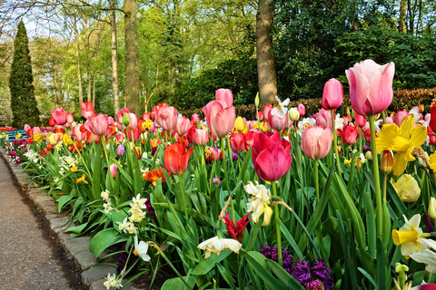 Vanuit Amsterdam: Keukenhof-tuinen en Giethoorn Tour