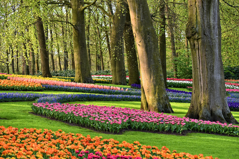 D'Amsterdam: jardins de Keukenhof et visite de Giethoorn