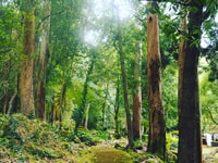 Terceira Island , Half-Day Van Tour on the West Coast - Housity