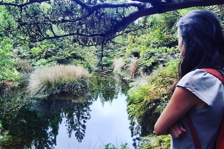 Ruta de Senderismo Misterios OscurosDesde Angro do Heroismo: Caminata por el Sendero de los Misterios Oscuros