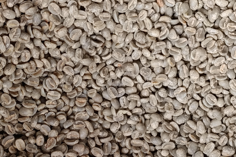 Cusco: Specialty Coffee Tasting-Sensory Experience (2 Hours)