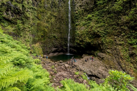 Madeira: Ganztägige Laurel Forest Guided Walking Tour