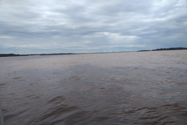 De Manaus: excursion de 2 jours dans la jungle amazonienne et le lac IpanemaDe Manaus: visite de 2 jours de l'Amazonie et du lac Ipanema avec chambre