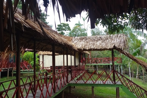 Ab Manaus: 2-tägige Exkursion in den Amazonas-Dschungel und zum Ipanema-SeeAb Manaus: 2-tägige Amazonas- und Ipanema-See-Tour mit Zimmer