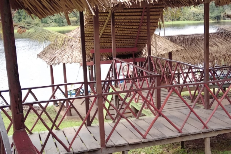 De Manaus: excursion de 2 jours dans la jungle amazonienne et le lac IpanemaDe Manaus: visite de 2 jours de l'Amazonie et du lac Ipanema avec salle AC