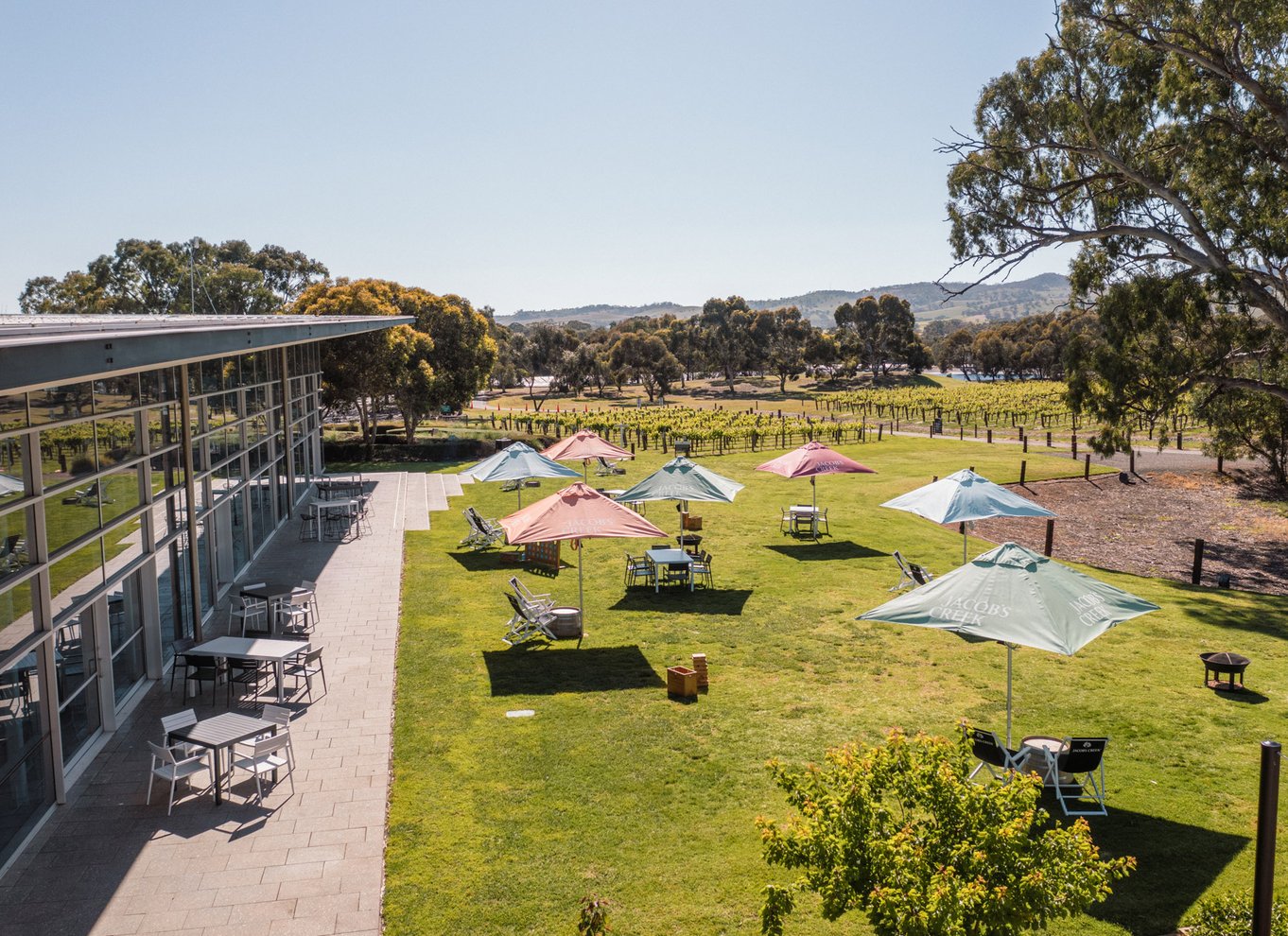 Barossa Valley: Perfekt picnic i Jacob's Creek