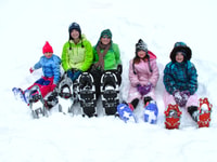 Desde Sirkka, Levi Summit Guided Nature Snoweboeing Tour - Housity