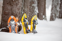 Desde Sirkka, Levi Summit Guided Nature Snoweboeing Tour - Housity