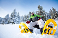 Desde Sirkka, Levi Summit Guided Nature Snoweboeing Tour - Housity