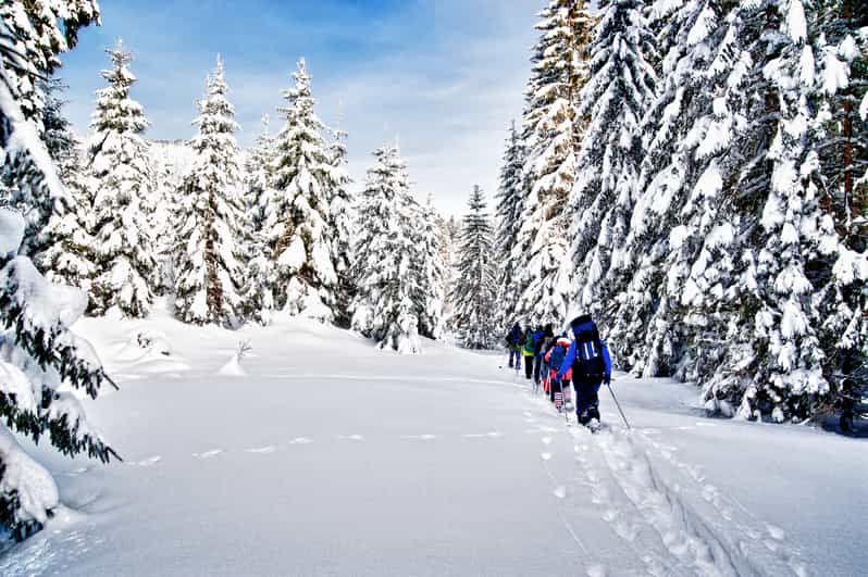 From Sirkka Levi Summit Guided Nature Snowshoeing Tour GetYourGuide