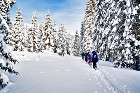 Desde Sirkka: tour guiado con raquetas de nieve por la naturaleza de Levi Summit