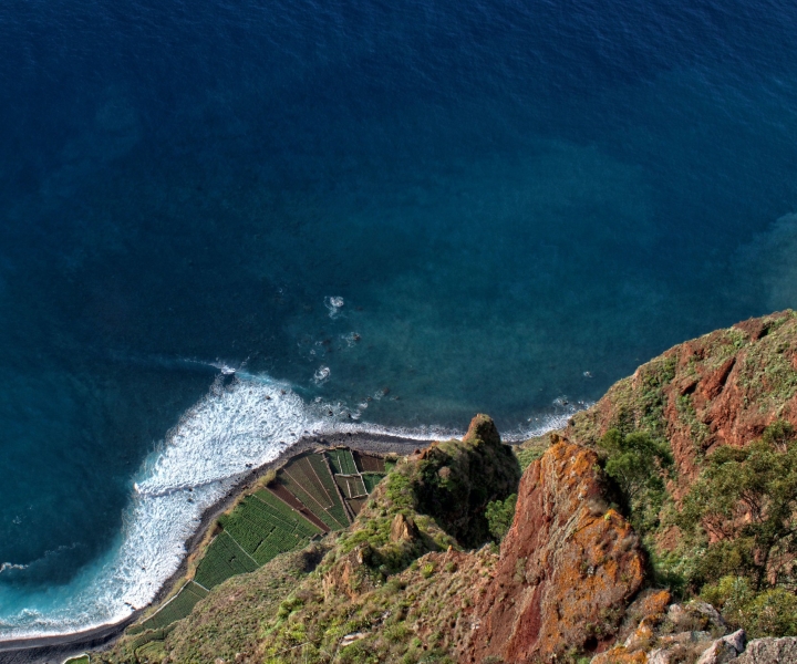 Madeira: Viagem Guiada ao Oeste da Madeira e Floresta Mística do Fanal