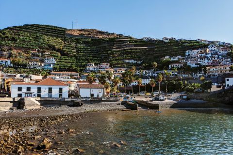 From Funchal: West Madeira Island Guided Trip & Laurisilva