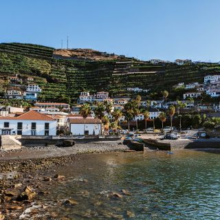 From Funchal: West Madeira Island Guided Trip & Laurisilva