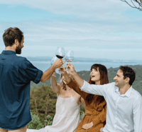 Waiheke Island, visita guidata del vino boutique con vino e viste - Hizvo