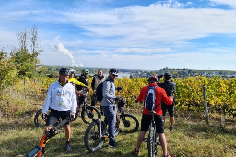 Chinon: visite à vélo des vignobles de Saumur avec pique-niquevisite guidée en anglais, français ou espagnol
