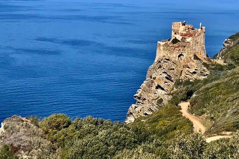 From Livorno: Gorgona Island Day Tour with Hike & Ferry Ride