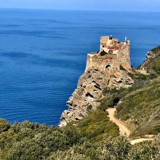 From Livorno: Gorgona Island Day Tour with Hike & Ferry Ride