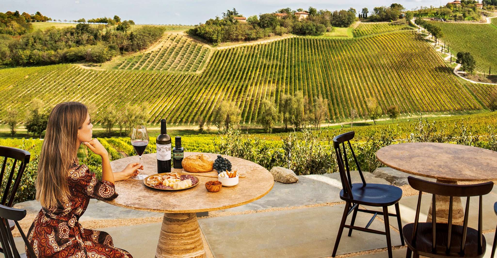 Bologna, Olive Grove und Weinberg Tour mit Produktproben - Hizvo