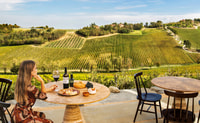 Bologna, Olive Grove et visite du vignoble avec dégustations de produits - Hizvo