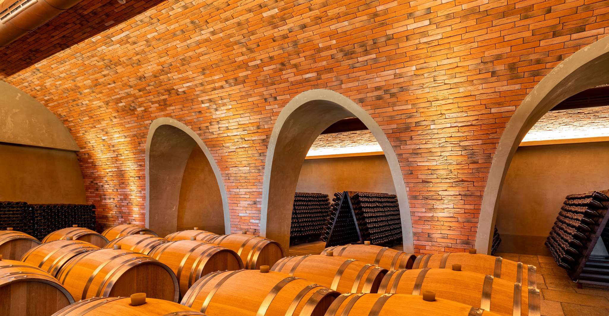 Bologna, Olive Grove und Weinberg Tour mit Produktproben - Hizvo