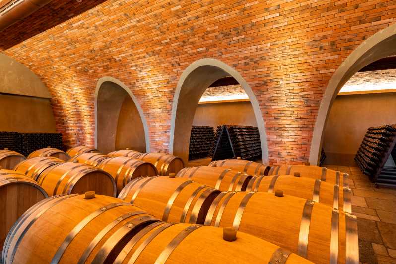 vineyard tour bologna