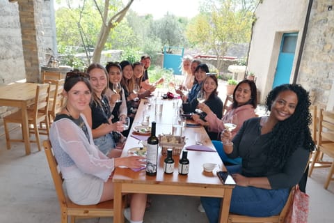 Split: Krka Waterfalls with Cruise, Swimming, & Wine Tasting