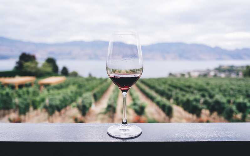 From Athens: Private Napflio Day Trip With Wine Tasting