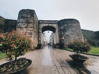 Lugo, ¡¡nuevo !!Tour privado a pie con guía local - Housity