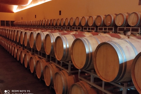 Expérience viticole Toscane-Latium d'une journéePrise en charge au port et au centre-ville de Civitavecchia