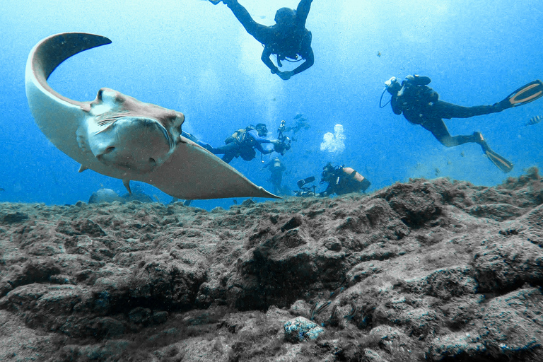 Curso de água aberta PADI em 3 dias