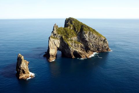 From Paihia: Hole in the Rock Cruise with Island Stop
